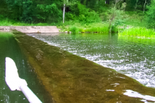 Miejscówka 169 - Chromów - zdjęcie 0