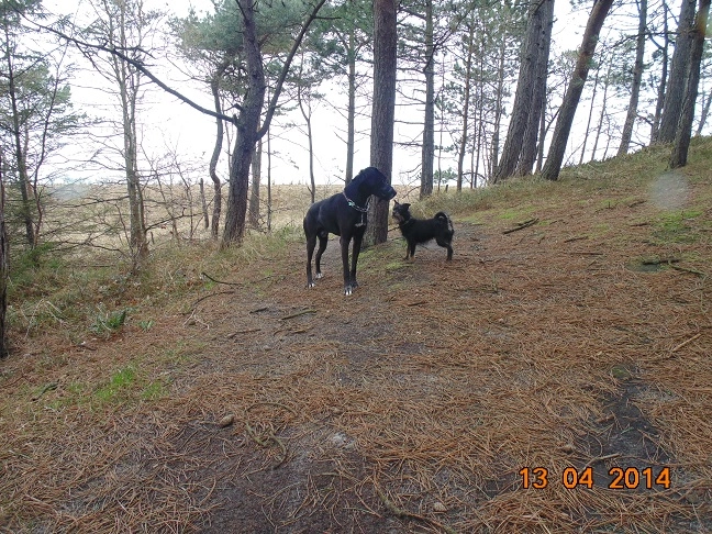 Miejscówka 175 - Karwia - zdjęcie 7