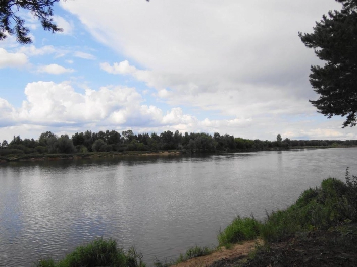 Miejscówka 176 - Gulczewo - zdjęcie 3