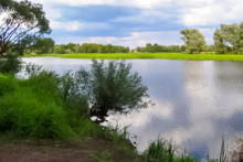 Miejscówka 176 - Gulczewo - zdjęcie 0