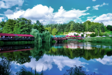 Miejscówka 178 - Złoty Potok - zdjęcie 0