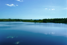 Miejscówka 186 - Wióry - zdjęcie 0