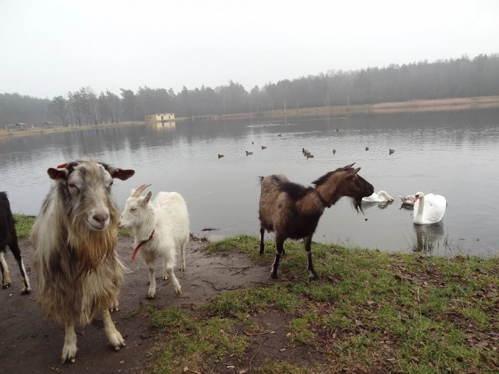 Miejscówka 187 - Pajęczno - zdjęcie 4