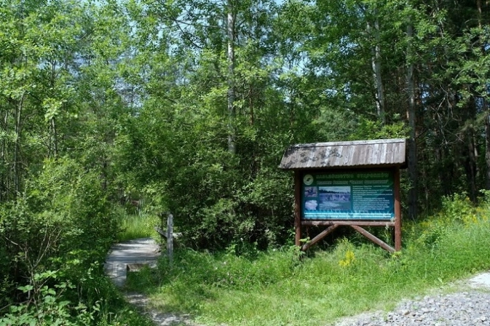 Miejscówka 189 - Gagaty Sołtykowskie - zdjęcie 5