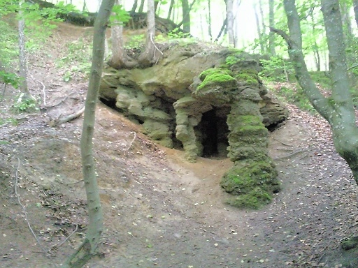 Miejscówka 190 - Mirachowo Leśniczówka - zdjęcie 7