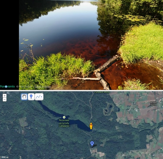 Miejscówka 190 - Mirachowo Leśniczówka - zdjęcie 4