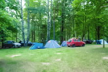 Miejscówka 190 - Mirachowo Leśniczówka - zdjęcie 0