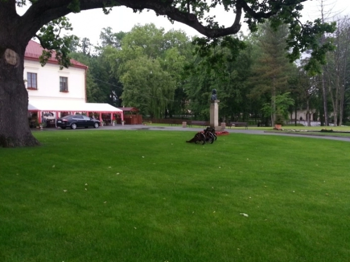 Miejscówka 191 - Słonne - zdjęcie 9