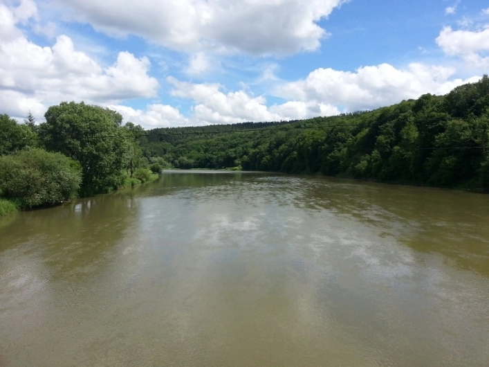 Miejscówka 191 - Słonne - zdjęcie 5