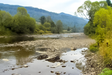 Miejscówka 197 - Kalnica - zdjęcie 0