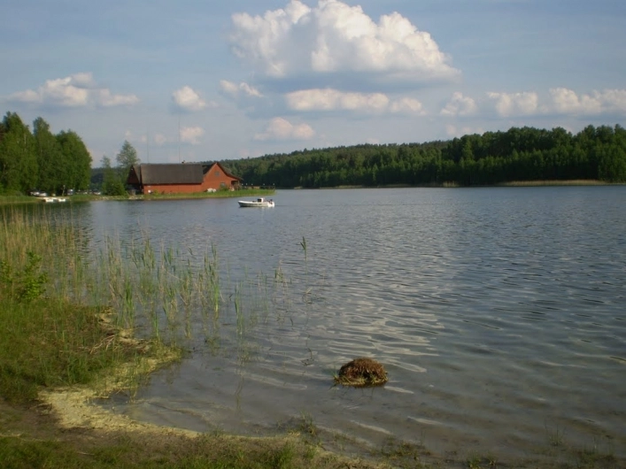 Miejscówka 199 - WygoninI - zdjęcie 3