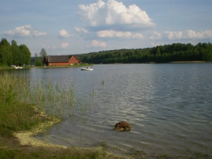 Miejscówka 199 - WygoninI - zdjęcie 2