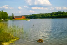 Miejscówka 199 - WygoninI - zdjęcie 0