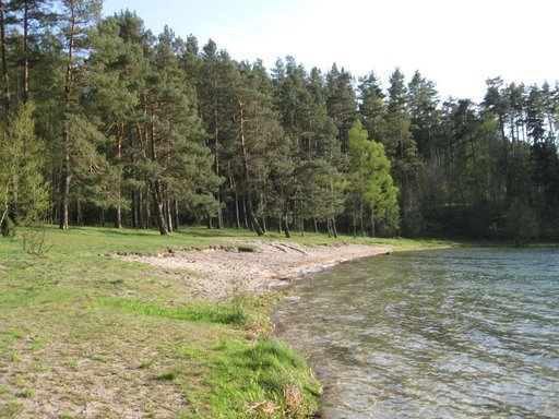 Miejscówka 200 - Wygonin II - zdjęcie 8