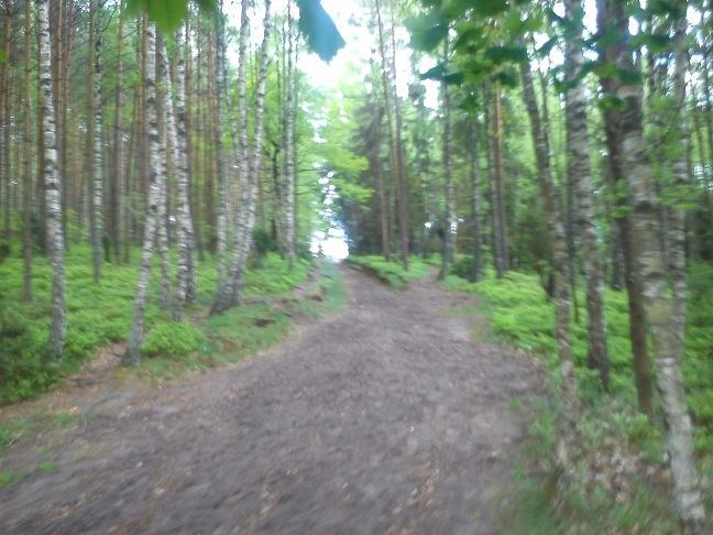 Miejscówka 200 - Wygonin II - zdjęcie 6