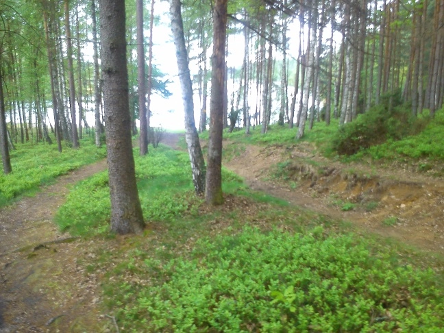 Miejscówka 200 - Wygonin II - zdjęcie 5