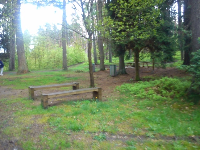 Miejscówka 200 - Wygonin II - zdjęcie 4