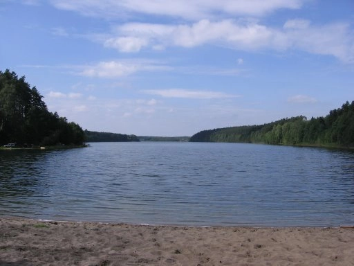 Miejscówka 200 - Wygonin II - zdjęcie 2