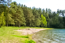 Miejscówka 200 - Wygonin II - zdjęcie 0