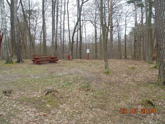 Miejscówka 203 - Gardeja - zdjęcie 12