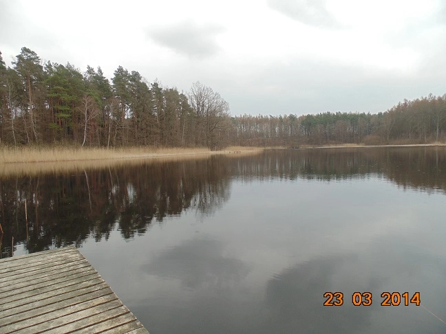 Miejscówka 203 - Gardeja - zdjęcie 10