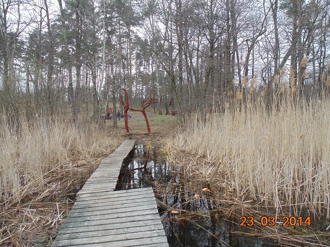 Miejscówka 203 - Gardeja - zdjęcie 9