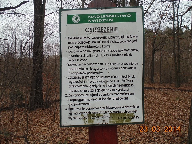 Miejscówka 203 - Gardeja - zdjęcie 8