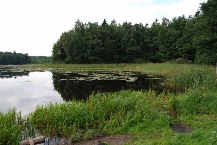 Miejscówka 203 - Gardeja - zdjęcie 5