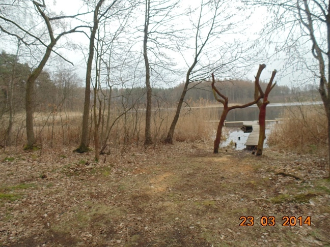 Miejscówka 203 - Gardeja - zdjęcie 2