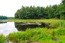 Miejscówka 203 - Gardeja - zdjęcie 0