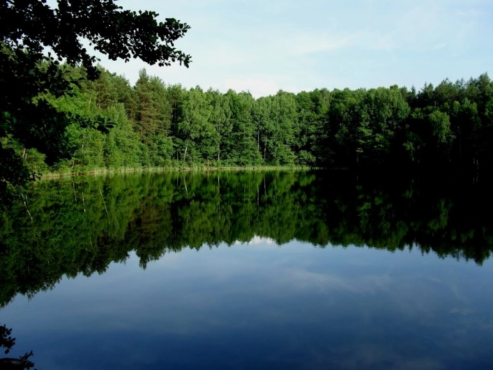 Miejscówka 204 - Jezioro Głęboczek - zdjęcie 5