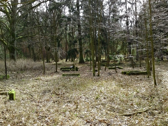 Miejscówka 206 - Okrągła Łąka - zdjęcie 2