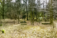 Miejscówka 206 - Okrągła Łąka - zdjęcie 0