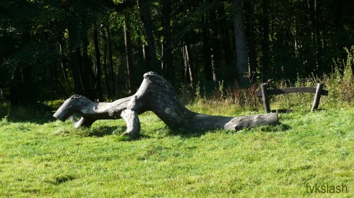 Miejscówka 209 - Prabuty Młyny - zdjęcie 5