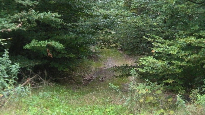 Miejscówka 214 - Jezioro Bukowskie - zdjęcie 5