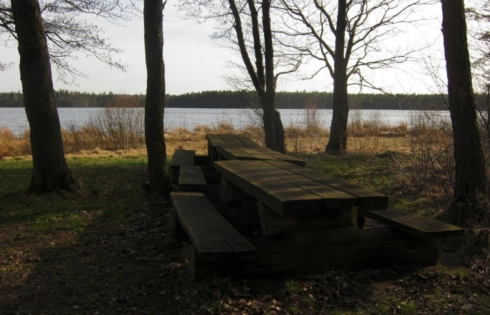 Miejscówka 220 - Dąbrówka - zdjęcie 4