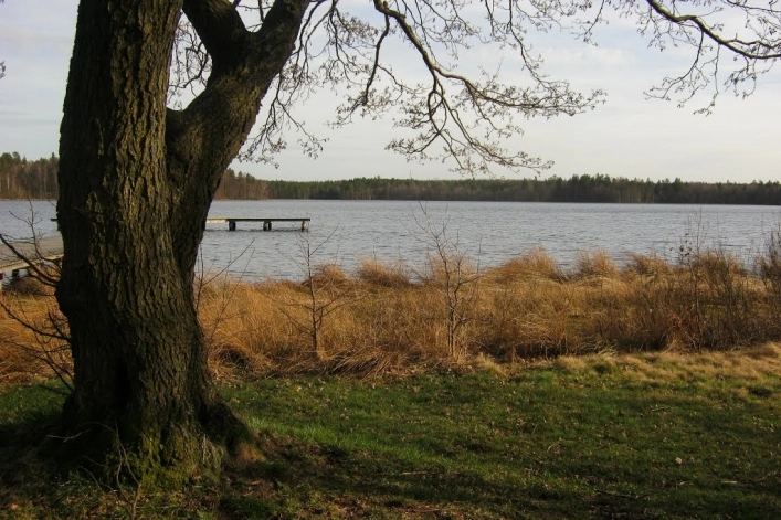 Miejscówka 220 - Dąbrówka - zdjęcie 3