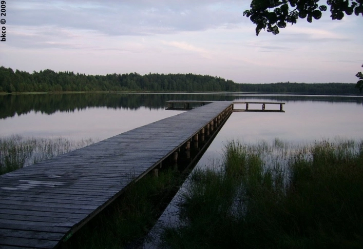 Miejscówka 220 - Dąbrówka - zdjęcie 2