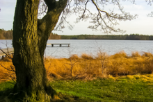 Miejscówka 220 - Dąbrówka - zdjęcie 0