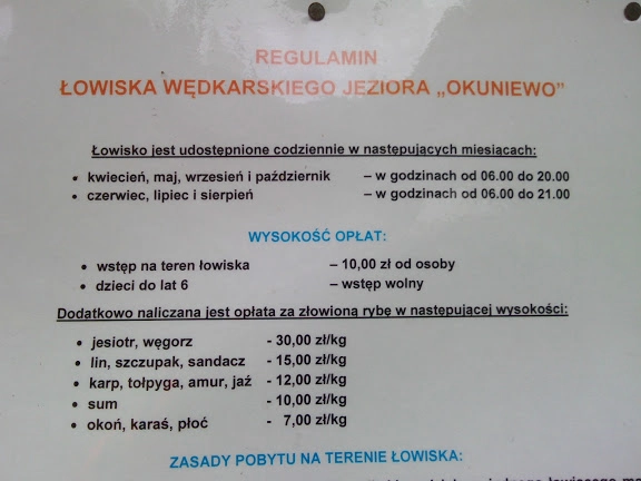 Miejscówka 221 - Jezioro Okuniewo - zdjęcie 5