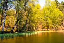 Miejscówka 222 - Jezioro Dywańskie - zdjęcie 0