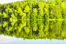 Miejscówka 224 - Jezioro Słupino - zdjęcie 0