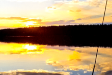 Miejscówka 225 - Płęsy las - zdjęcie 0