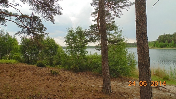 Miejscówka 226 - Jezioro Drzęczno - Pikowo - zdjęcie 10