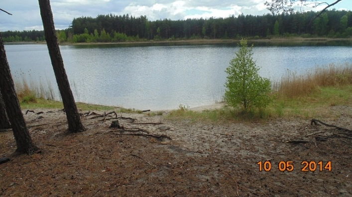 Miejscówka 226 - Jezioro Drzęczno - Pikowo - zdjęcie 7