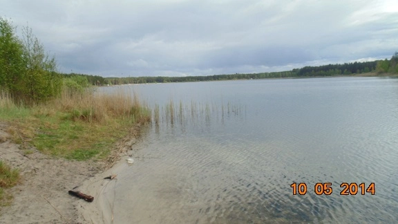 Miejscówka 226 - Jezioro Drzęczno - Pikowo - zdjęcie 6