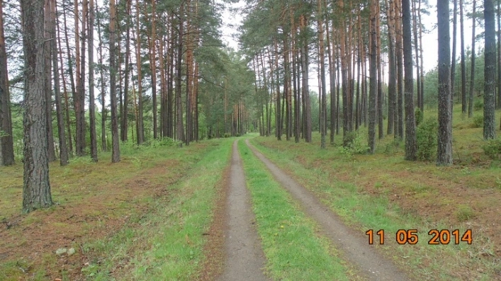 Miejscówka 226 - Jezioro Drzęczno - Pikowo - zdjęcie 4