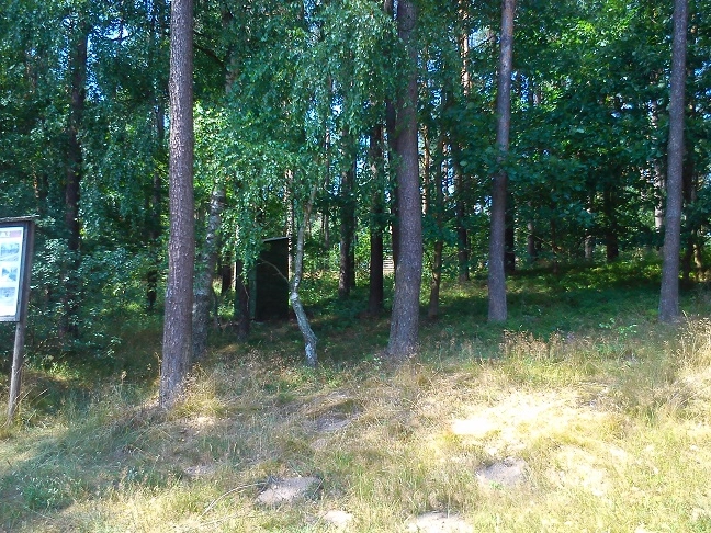 Miejscówka 228 - Jezioro Sumino - zdjęcie 6