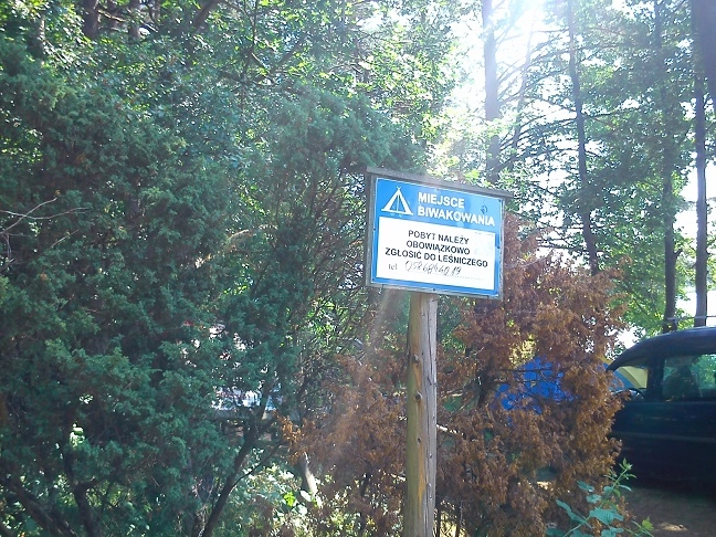 Miejscówka 228 - Jezioro Sumino - zdjęcie 3