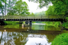 Miejscówka 229 - Huta Kalna - biwak Czubek - zdjęcie 0